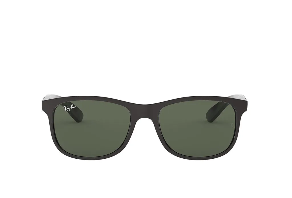 Ray-Ban 4202 Sunglass