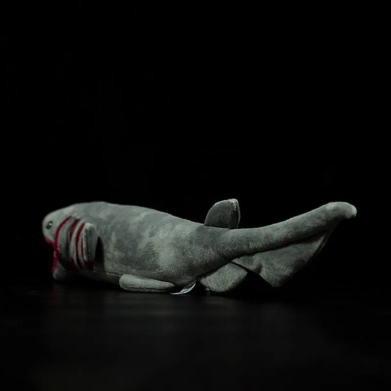 Realistic Shark plushies by SB