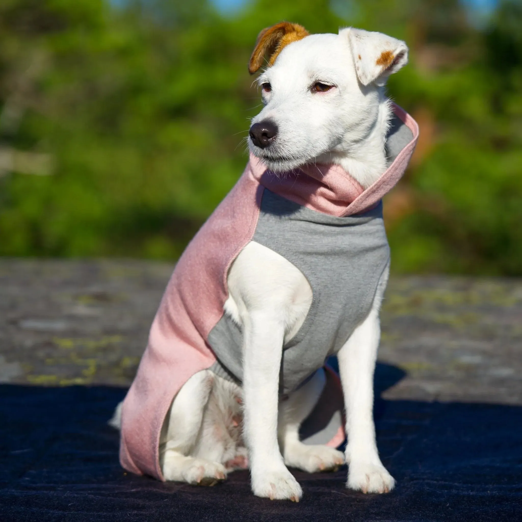 Recovery Winter Shirt in Pink