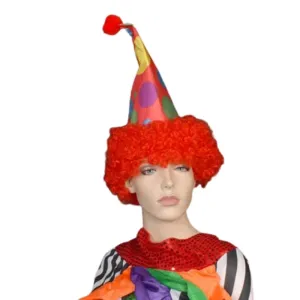 Red Clown Hat w/Hair