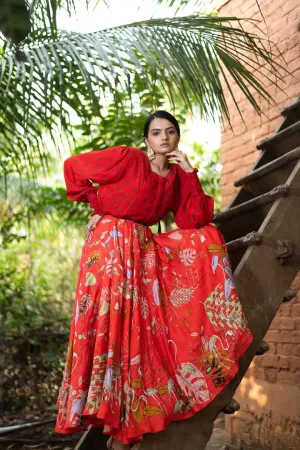 Red Embroidered Skirt Set