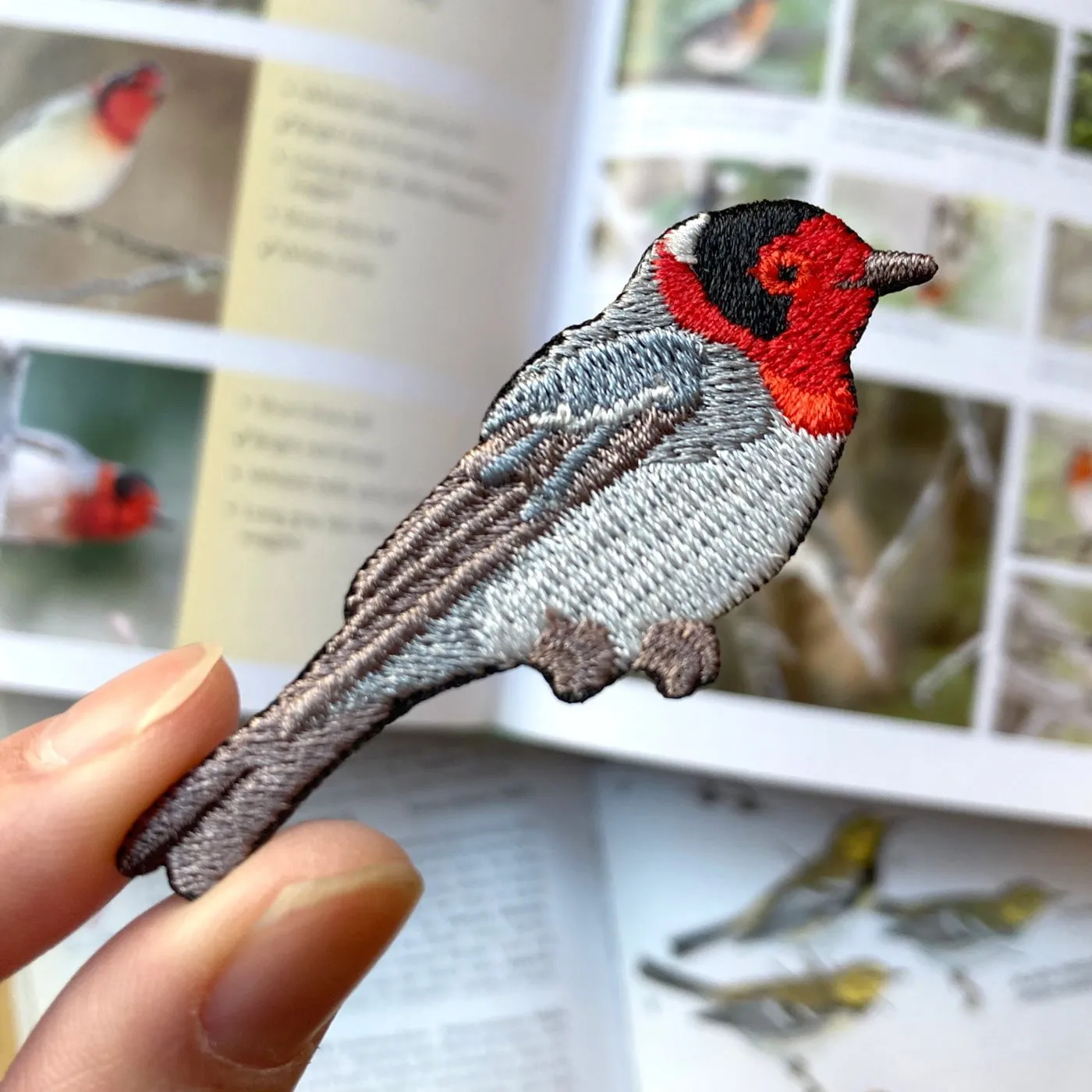 Red-faced Warbler Patch