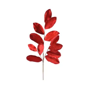 Red Magnolia Leaf Stem