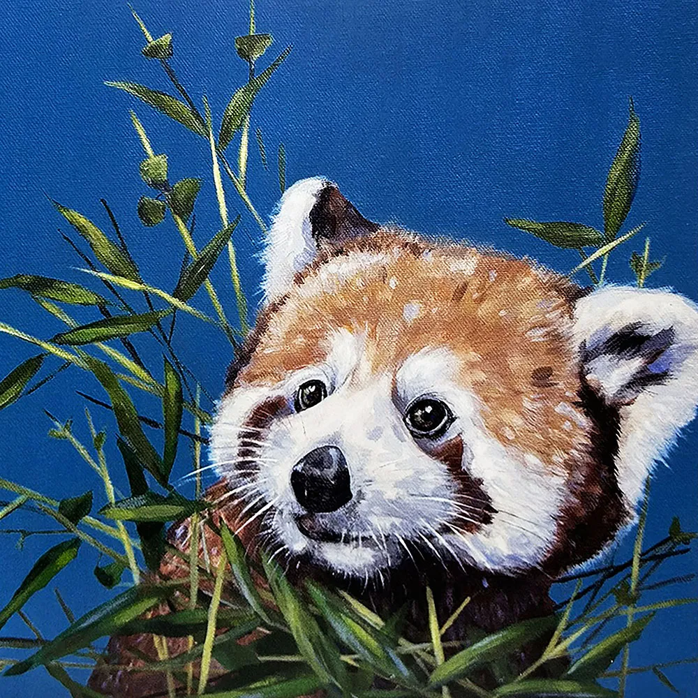 Red Panda Square Magnet Ally Smith