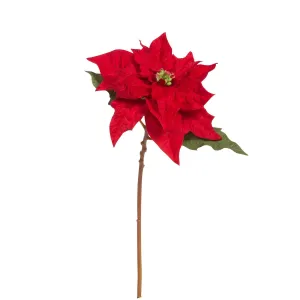 Red Poinsettia Stem