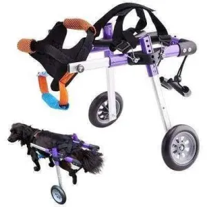 Regal Canine Purple Dog Wheelchair