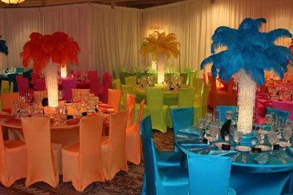 Rental Spandex Banquet Chair Cover