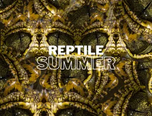 Reptile Summer Midi Dress- pre order