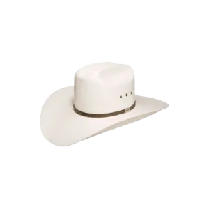 Resistol Hats Metcalf White Woven Straw Hat