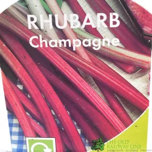 Rhubarb 'Red Champagne' 3Ltr Pot