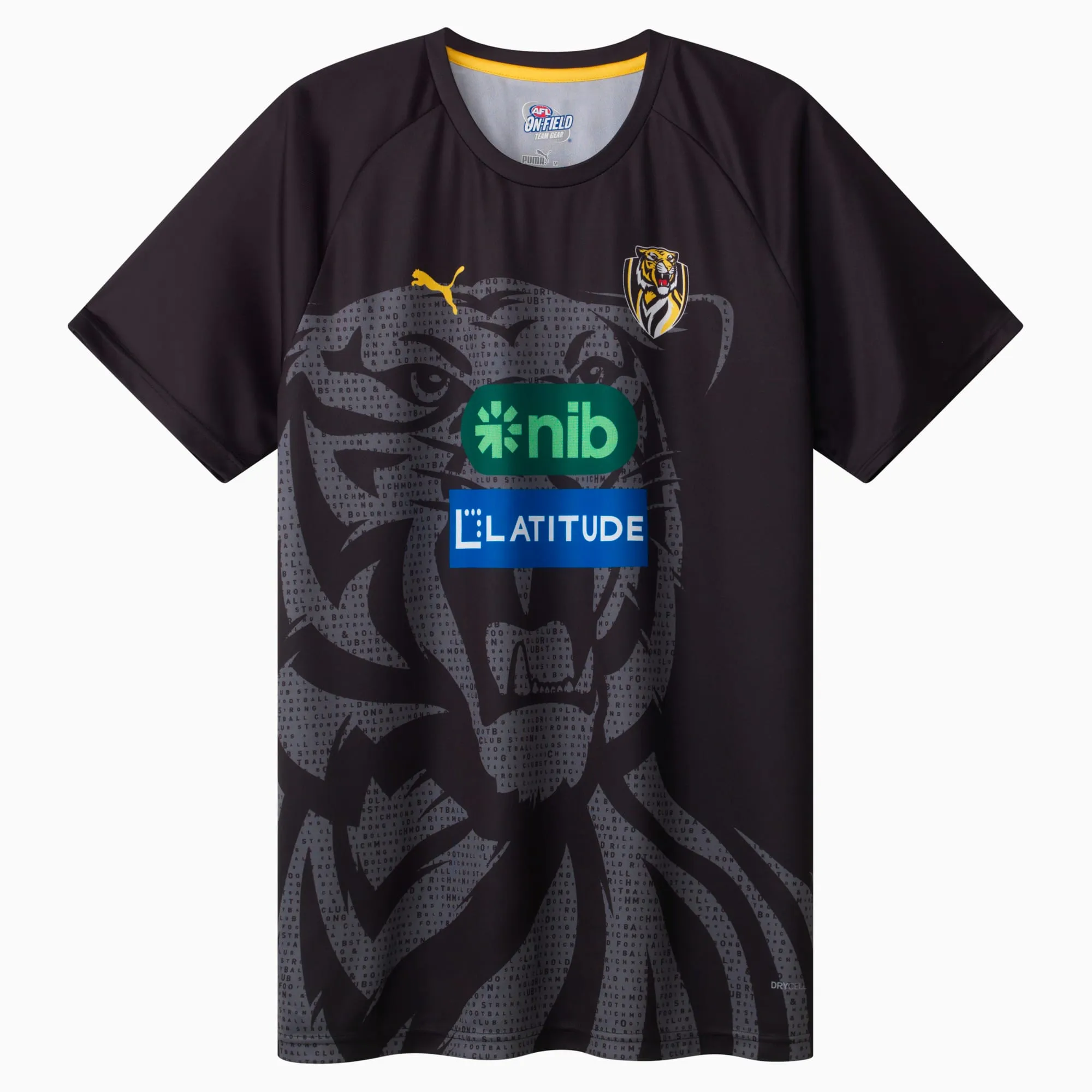 Richmond Tigers 2025 Mens Training Tee