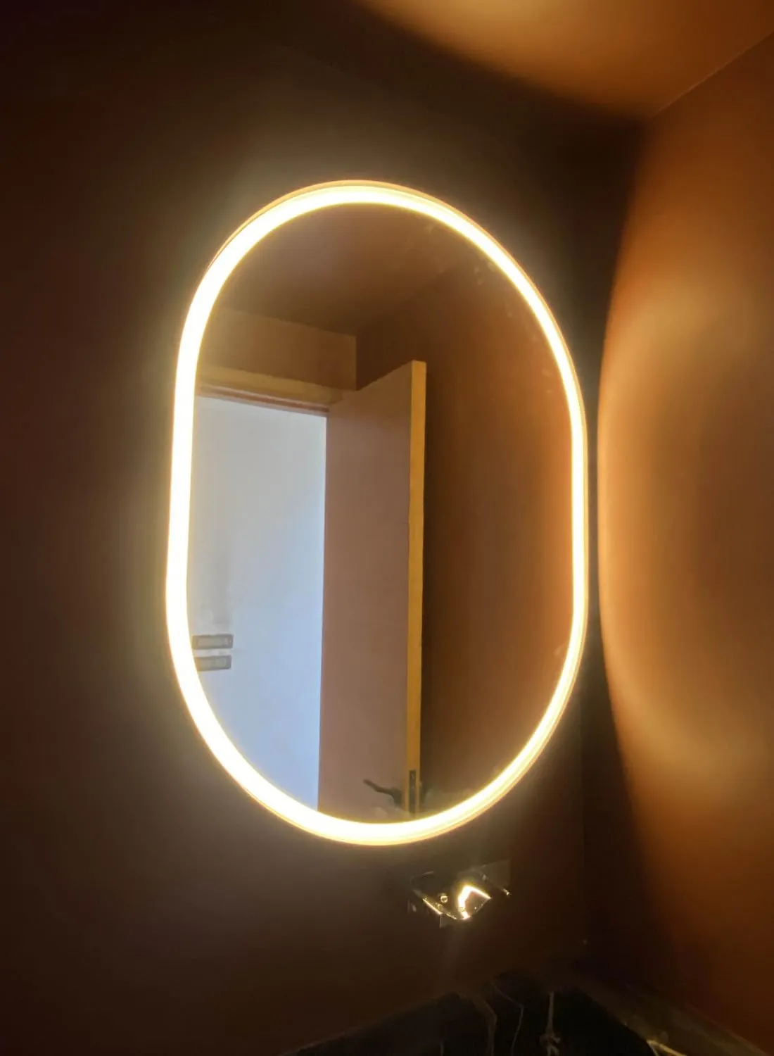 Rida Decors Bathroom Mirror with 3 LED Lights Options (Warm,White,Natural White) Makeup/Bathroom Mirror Wall Mounted Makeup Shaving Mirror (24x36 inch Oval)