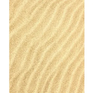 Rippled Sand Printed Backdrop