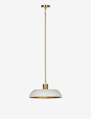 Robinson Pendant Light