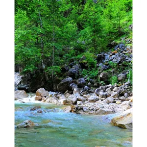 Rock Beach Scenic Printed Backdrop