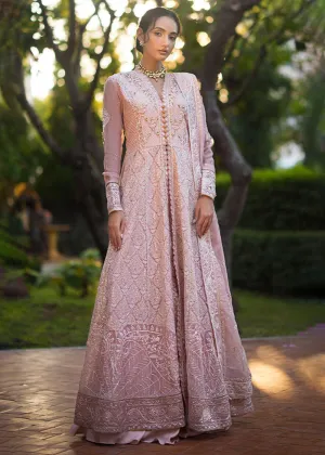 Roohi Luxury Formal Collection '24 by Mushq | AANYA