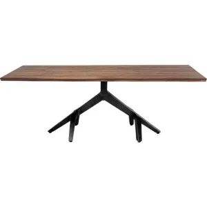 Roots Walnut Wood Table