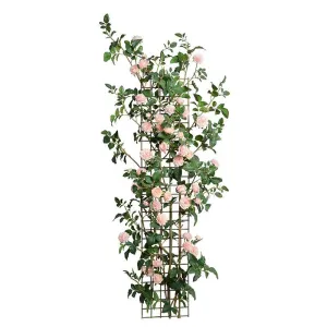 Rose Trellis 72"H