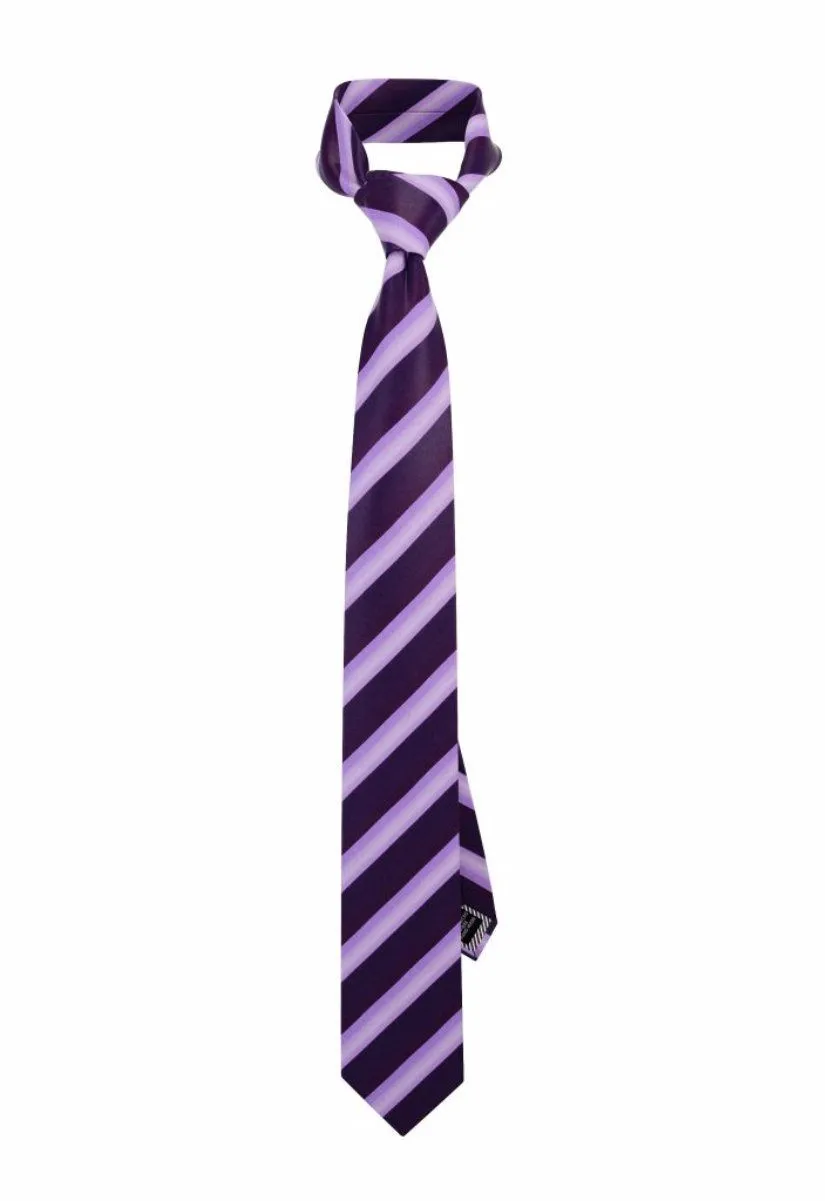 Royal Purple Striped Tie