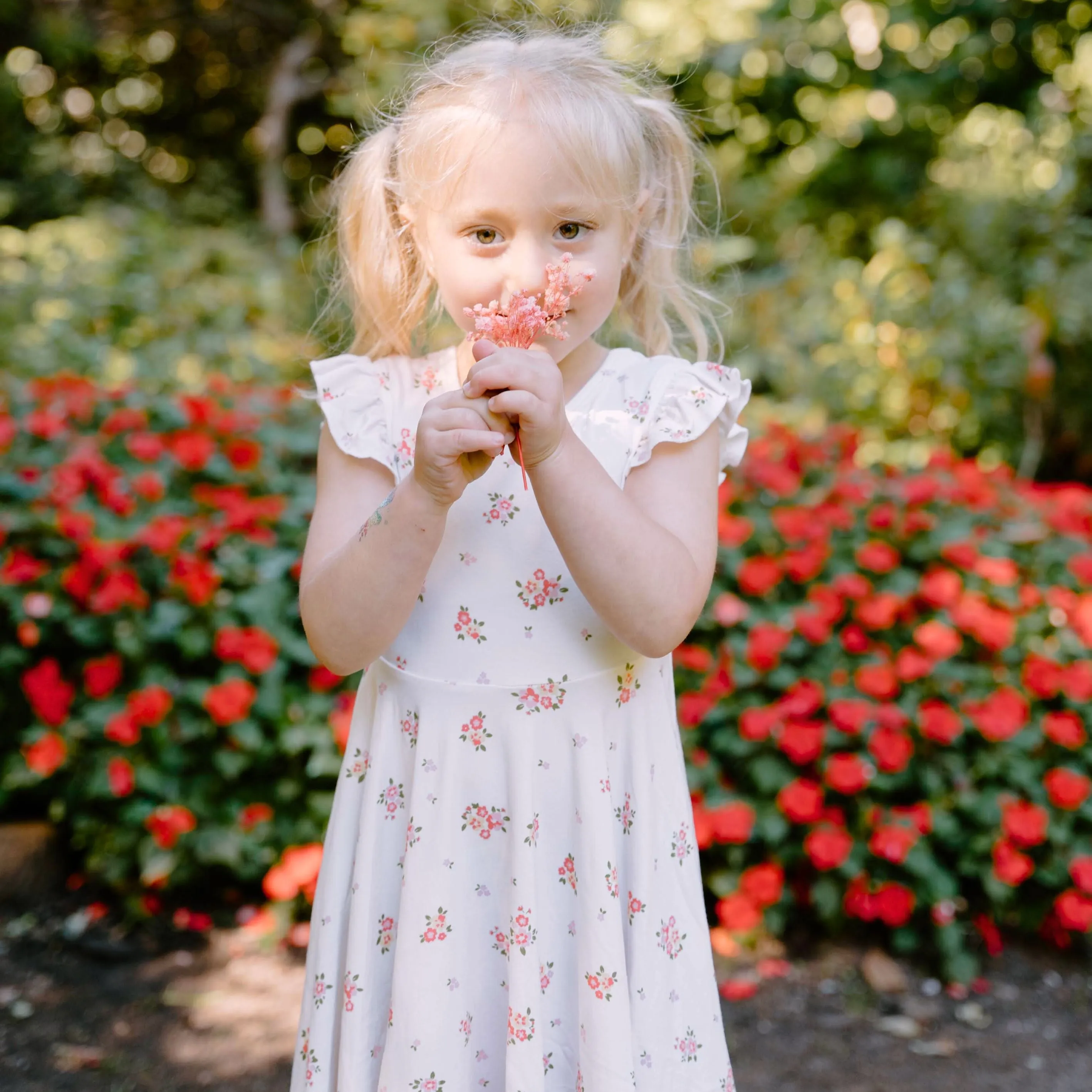 Ruffled Sleeves Twirl Dress - Blushing Blossom