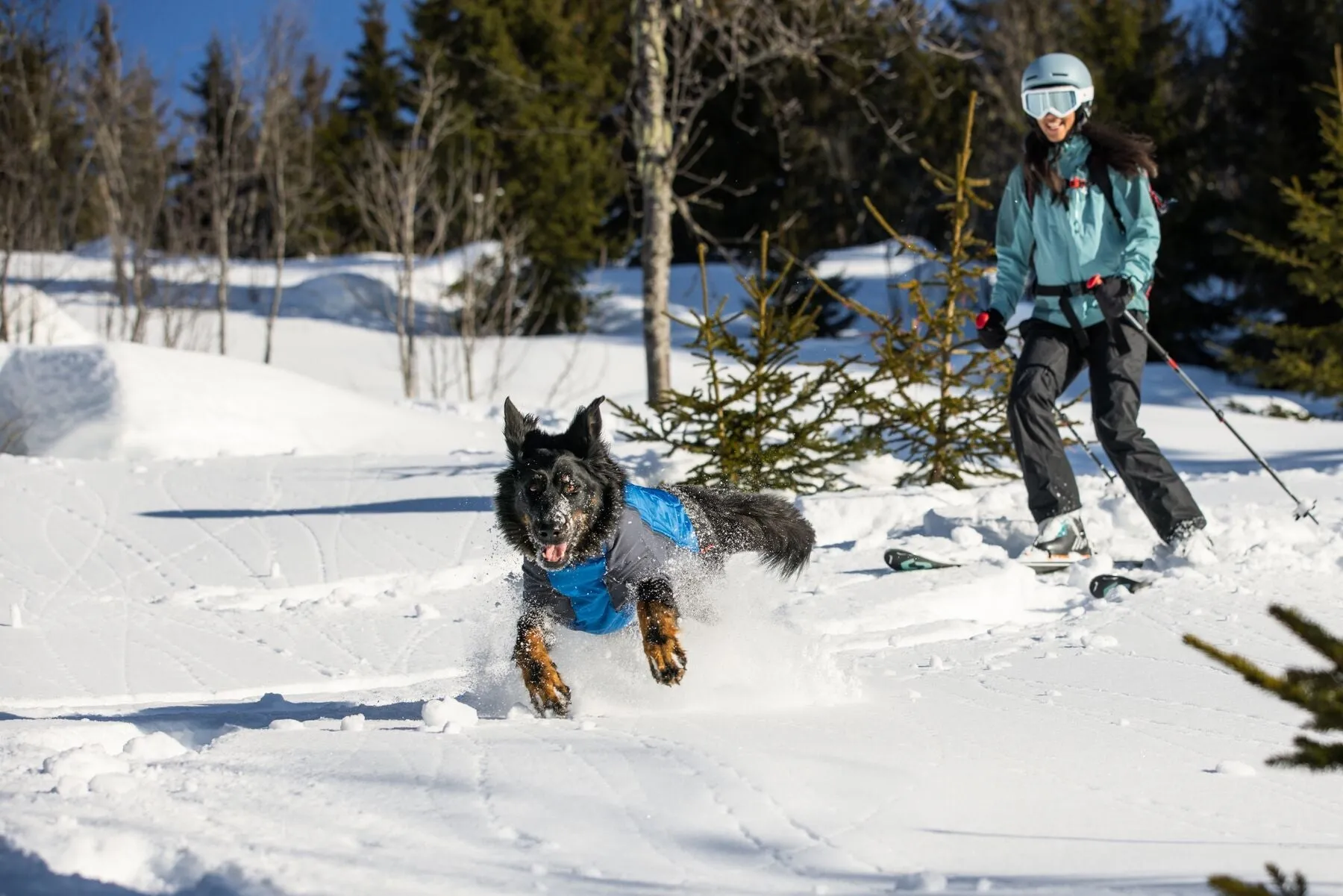 Ruffwear Powder Hound - Orange Large (Customer Return)