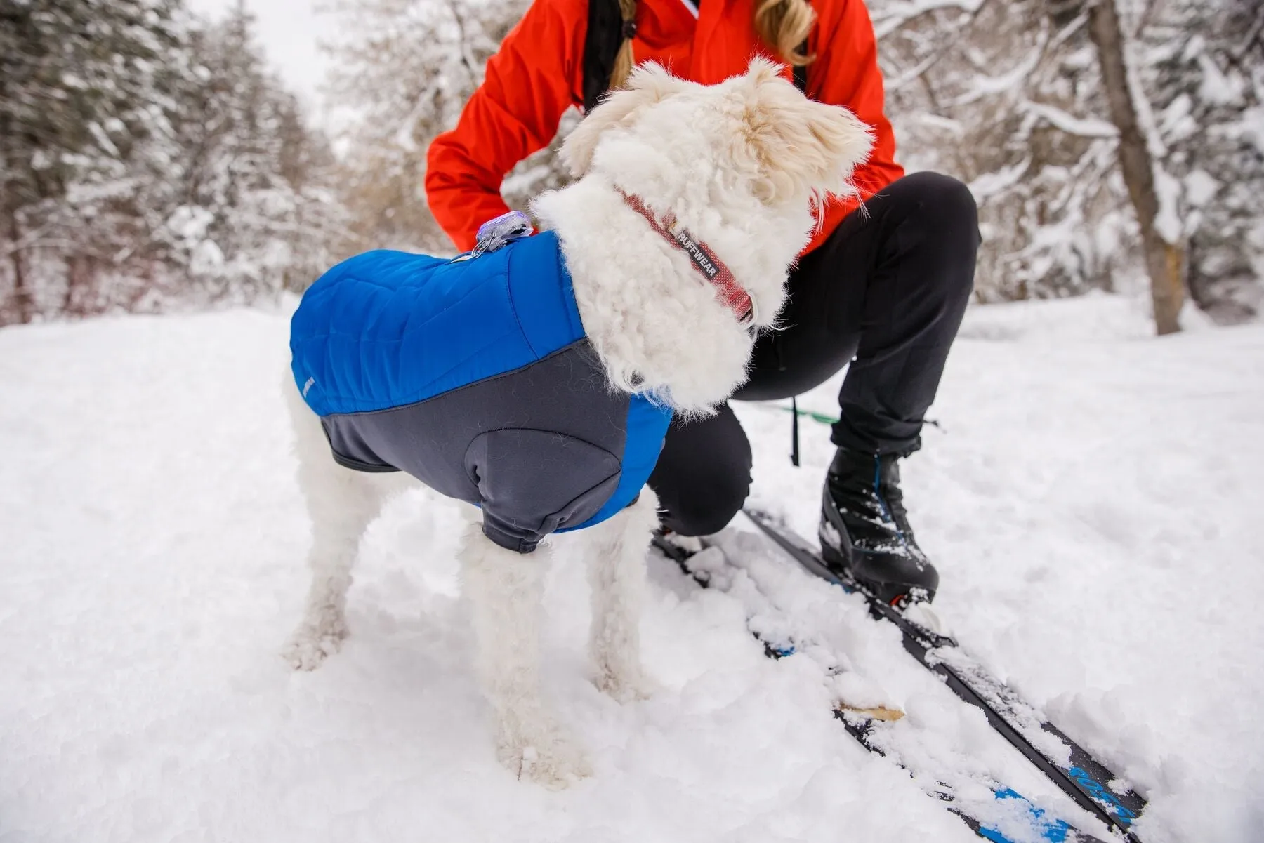 Ruffwear Powder Hound - Orange Large (Customer Return)