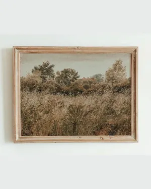 Rustic Vintage European Flower Grass Field | 11x14 Art Print