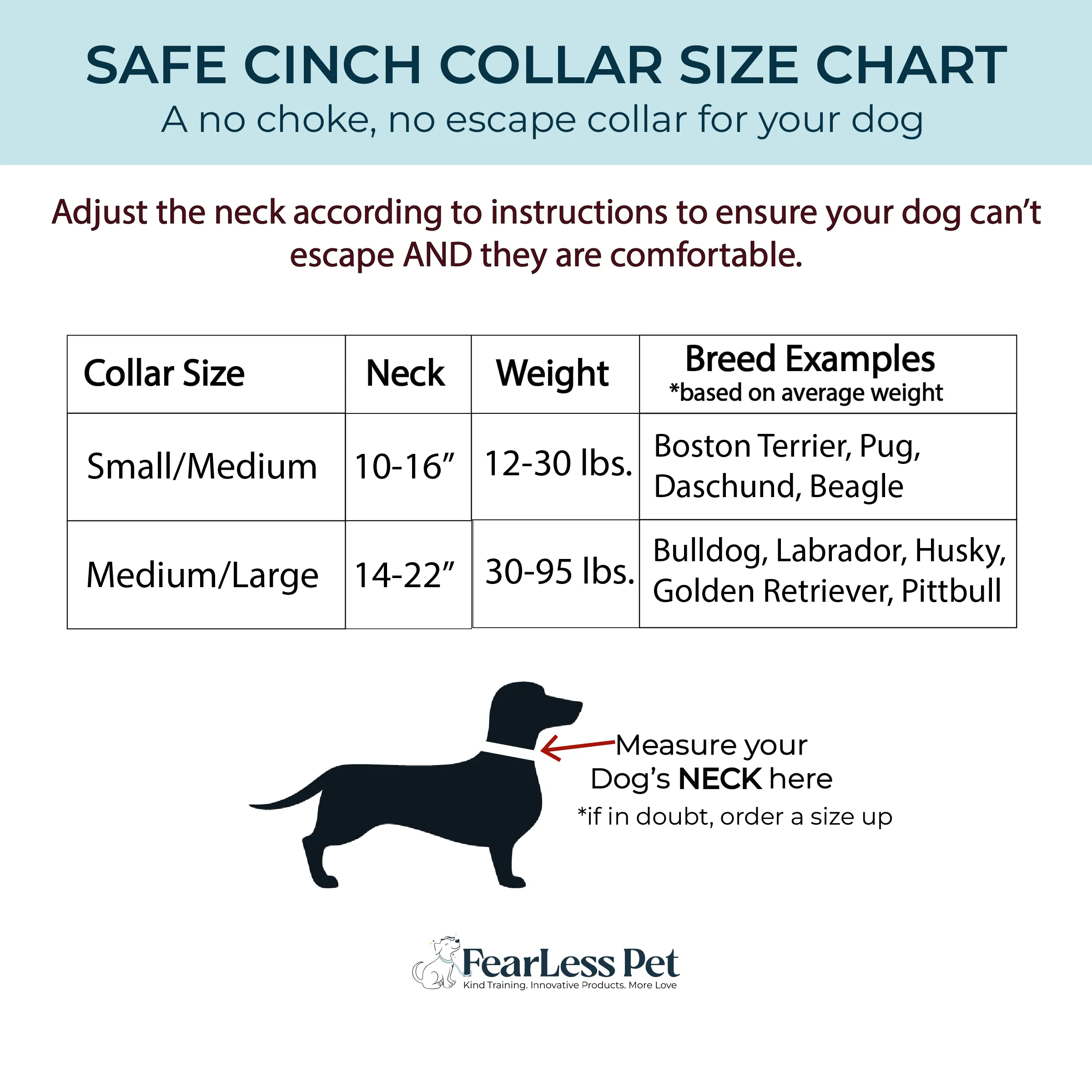 Safe Cinch Collar - Beach