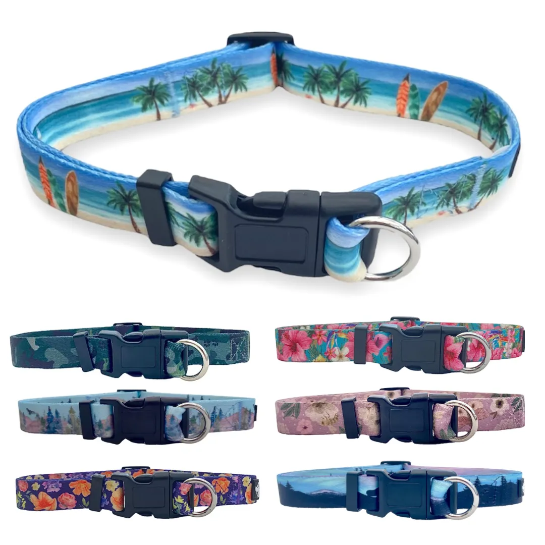 Safe Cinch Collar - Beach