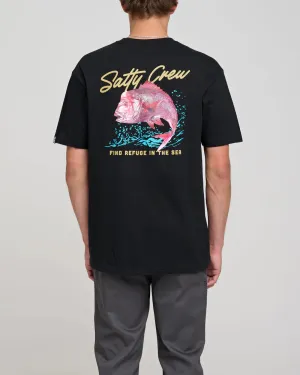 Salty Crew Snapper Premium Tee