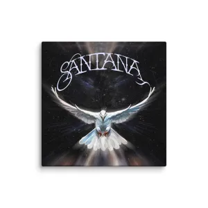 Santana Dove on Canvas