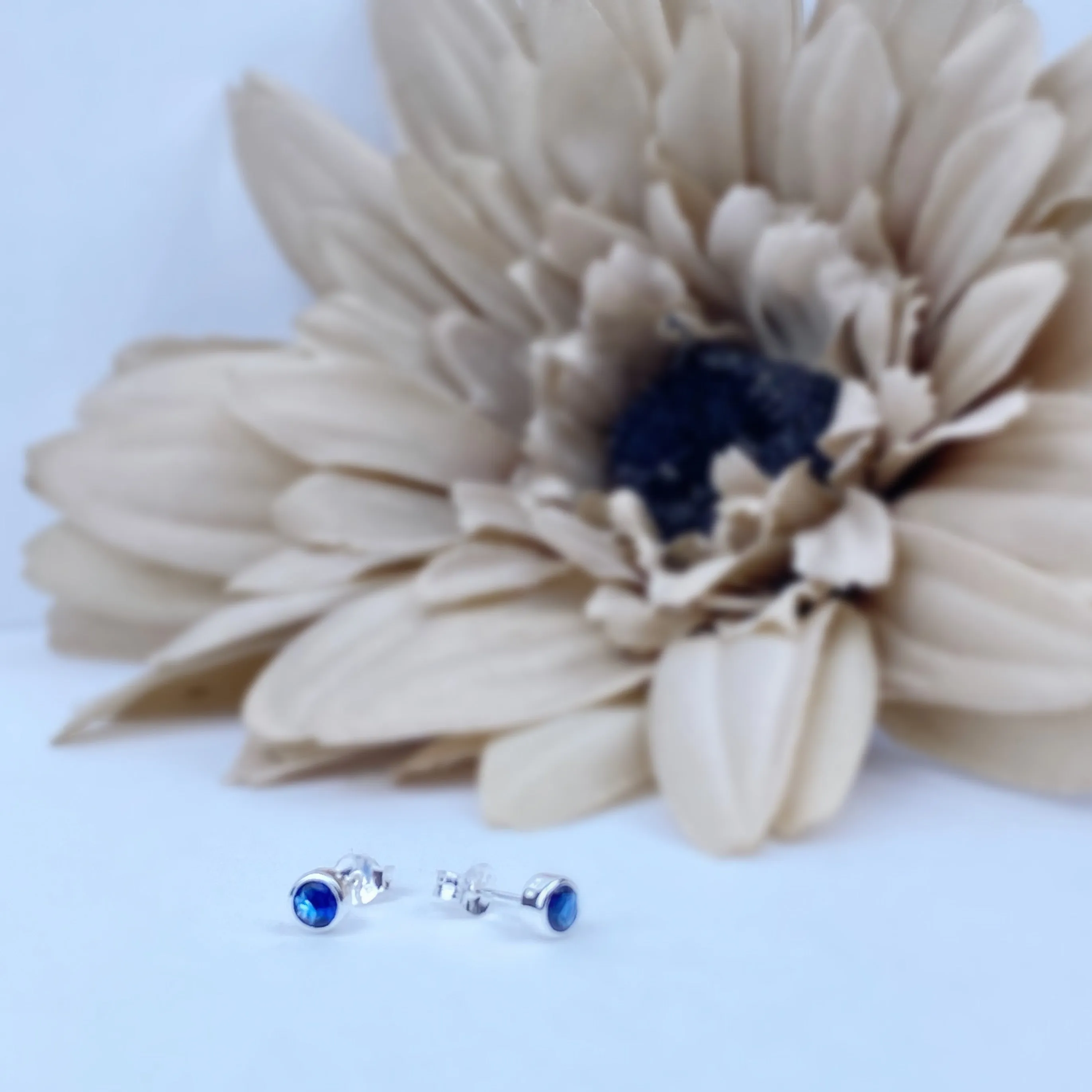 Sapphire Sparkle Studs (Sept) - SE5061