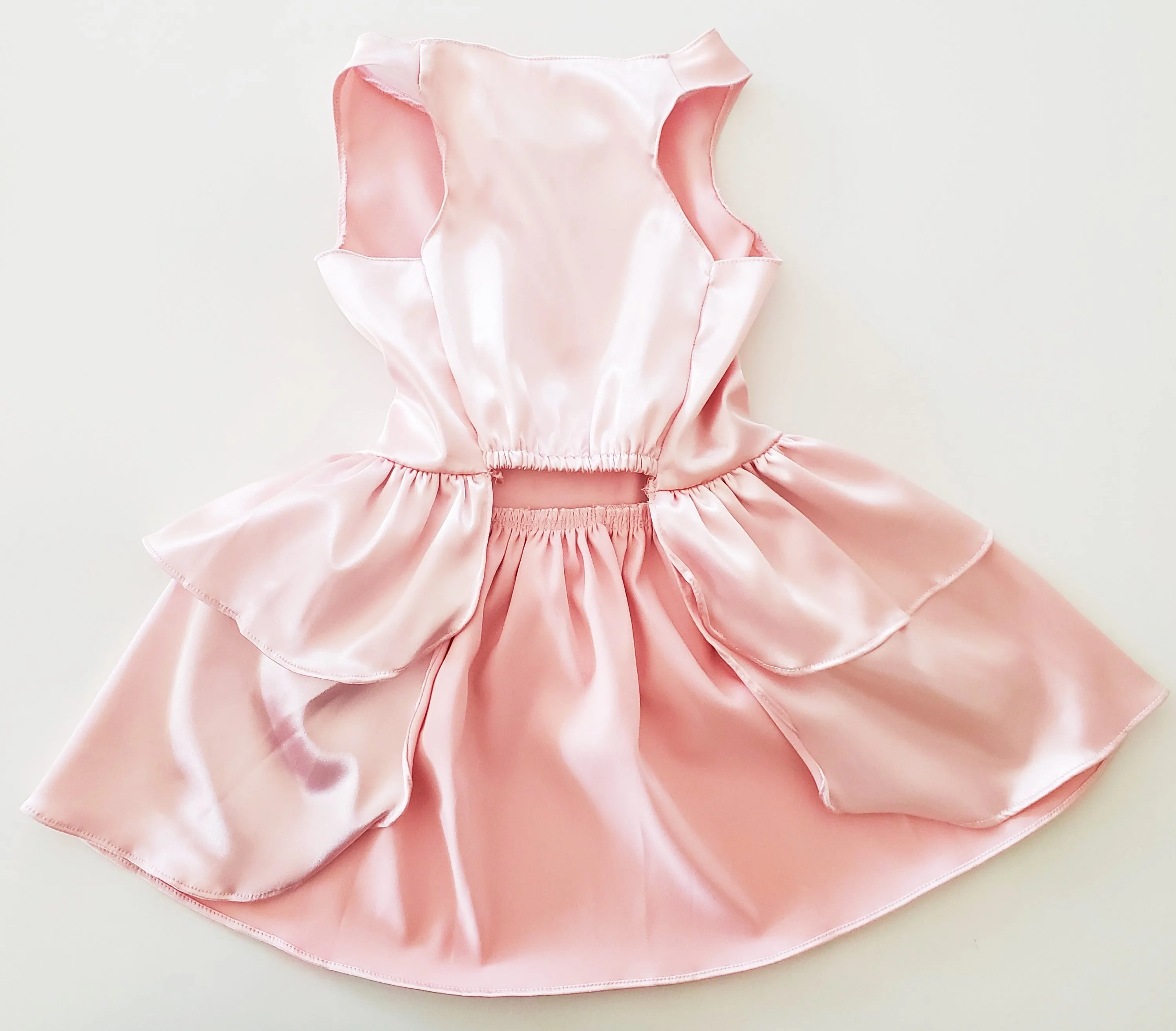 Satin Pet Dress | The Fenty