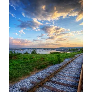 Savannah Love Scenic Printed Backdrop