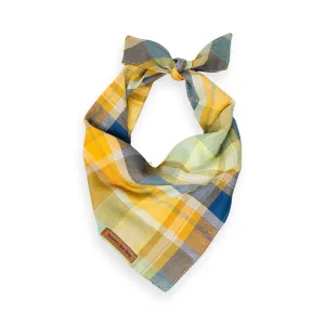 Scarecrow Plaid Dog Bandana