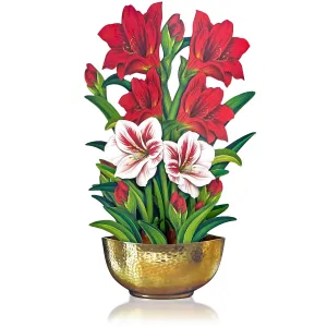 Scarlet Amaryllis Pop-Up Greeting Card