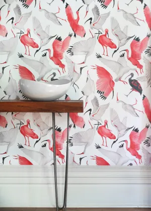 Scarlet and White Ibises Full Scale Wallpaper