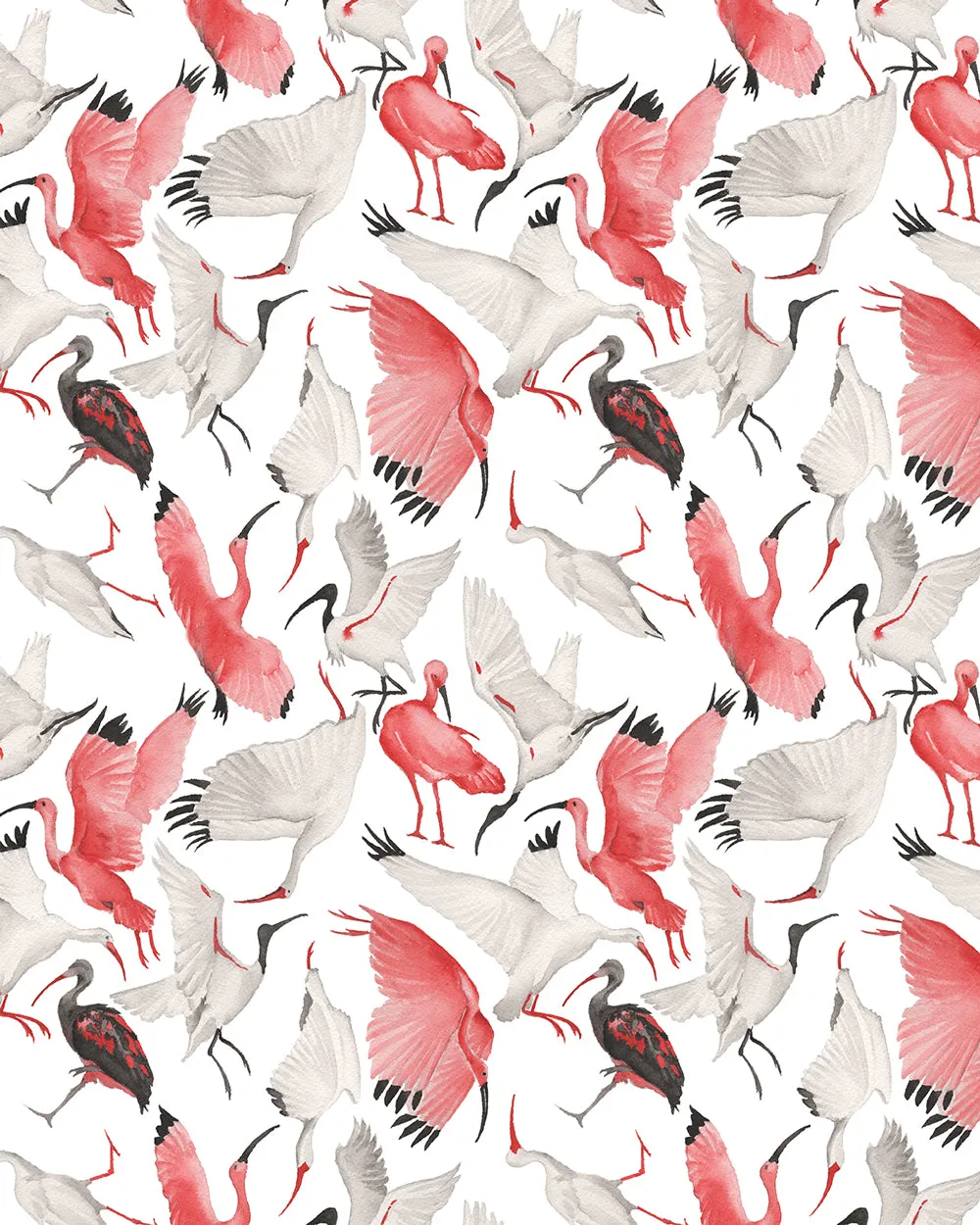 Scarlet and White Ibises Small Scale Wallpaper