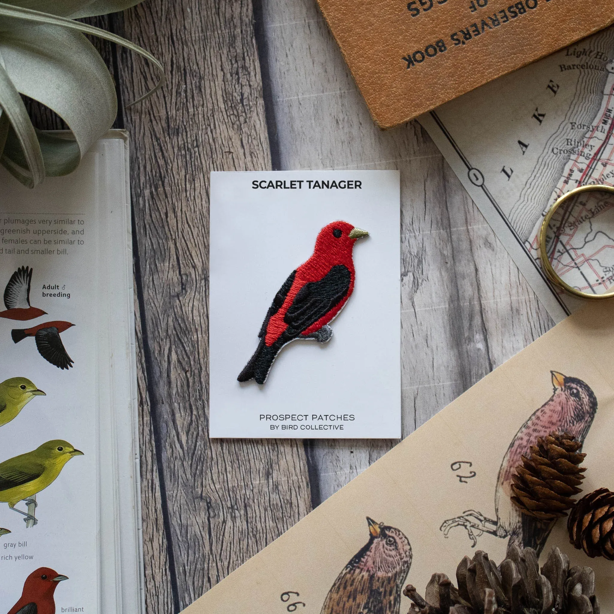 Scarlet Tanager Patch