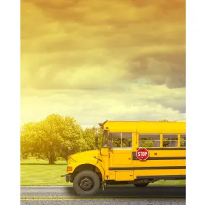 School Bus Stop Printed Backdrop