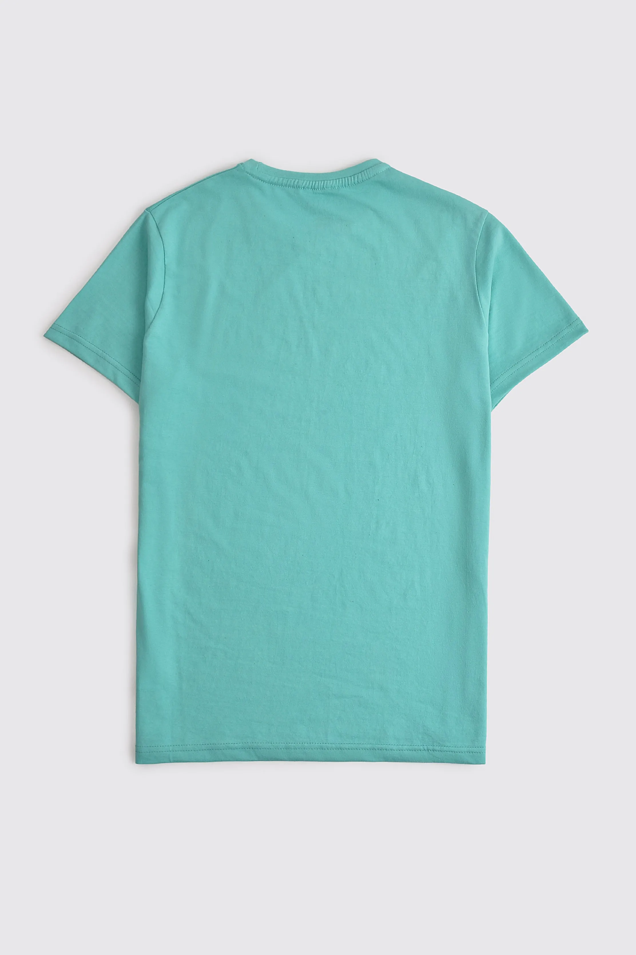 Sea Green Crew Neck T-shirt