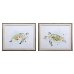 Sea Turtle Study Watercolor Prints, S/2