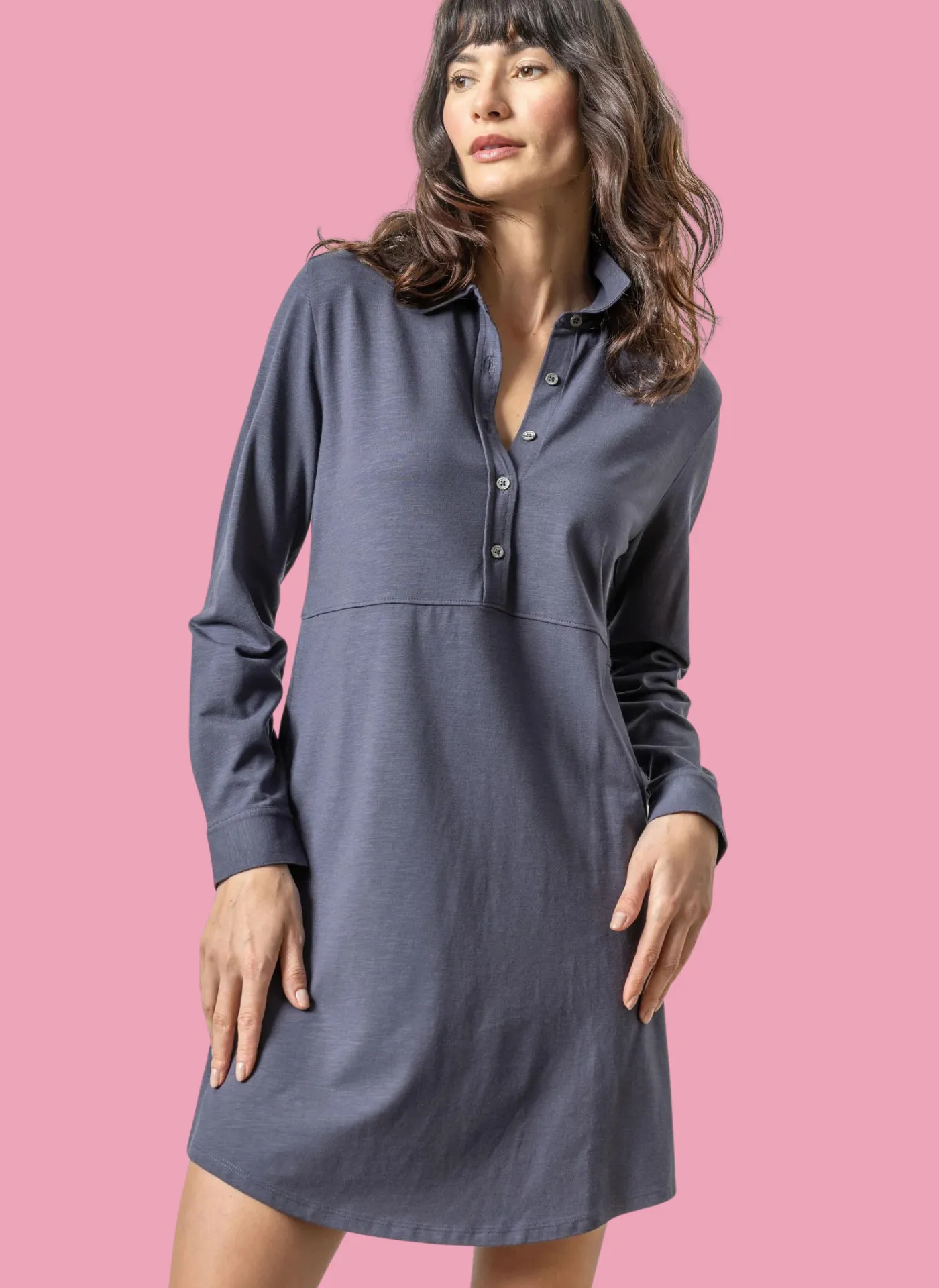 Seamed Shirt Dress