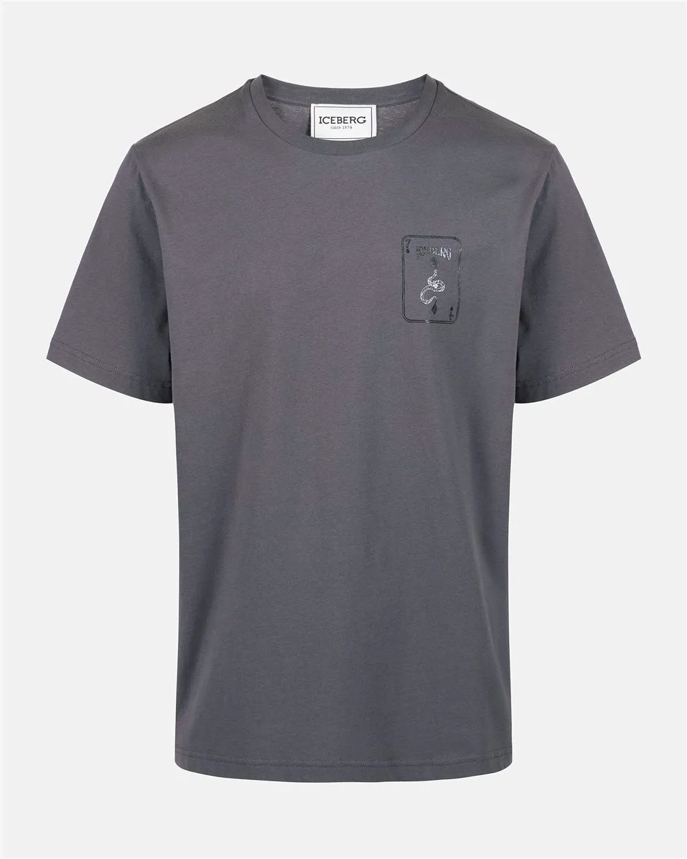 Short-sleeved T-shirt with prints and embroidery (Grey) - I24F02063278784