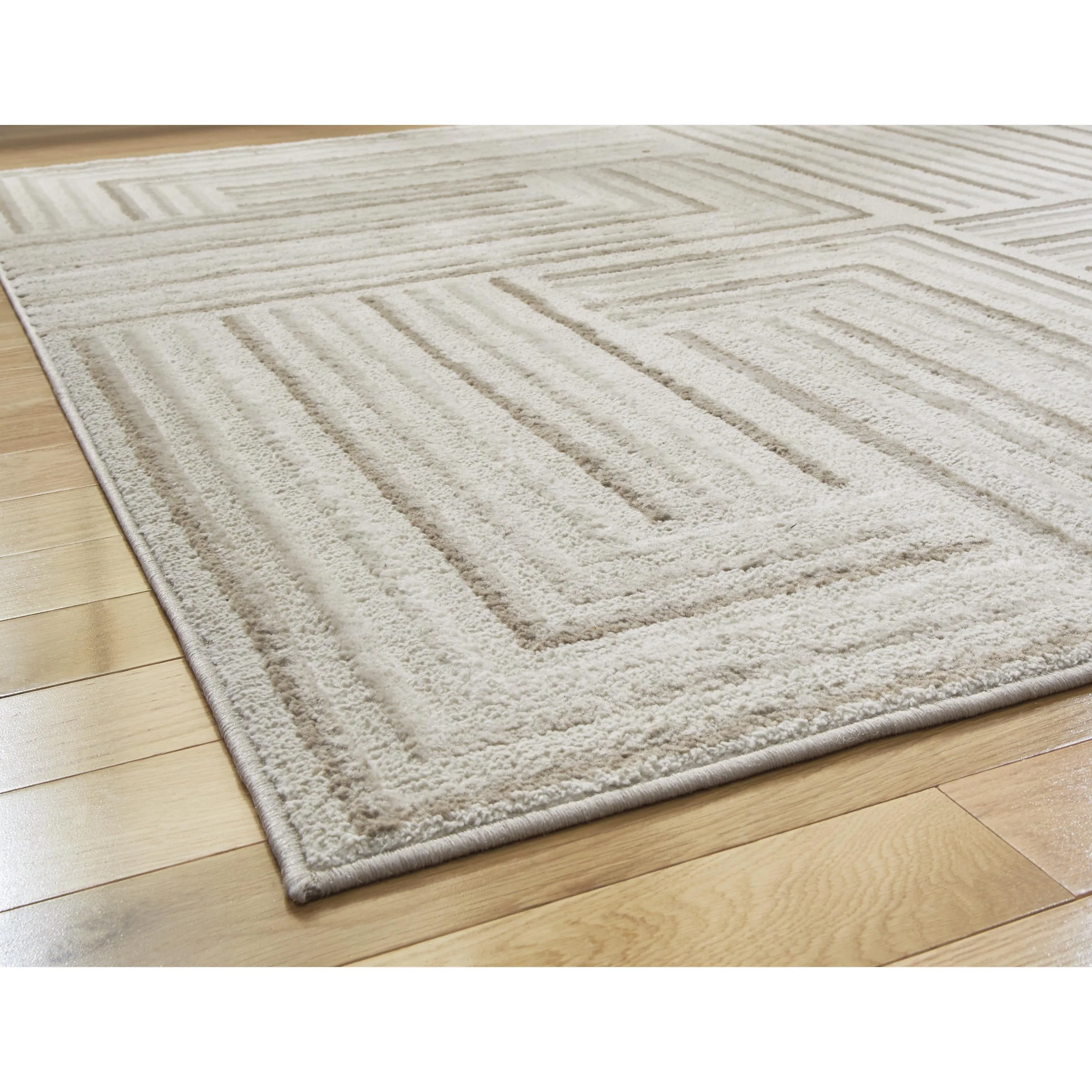 Signature Design by Ashley Darmondard R406941 Large Rug