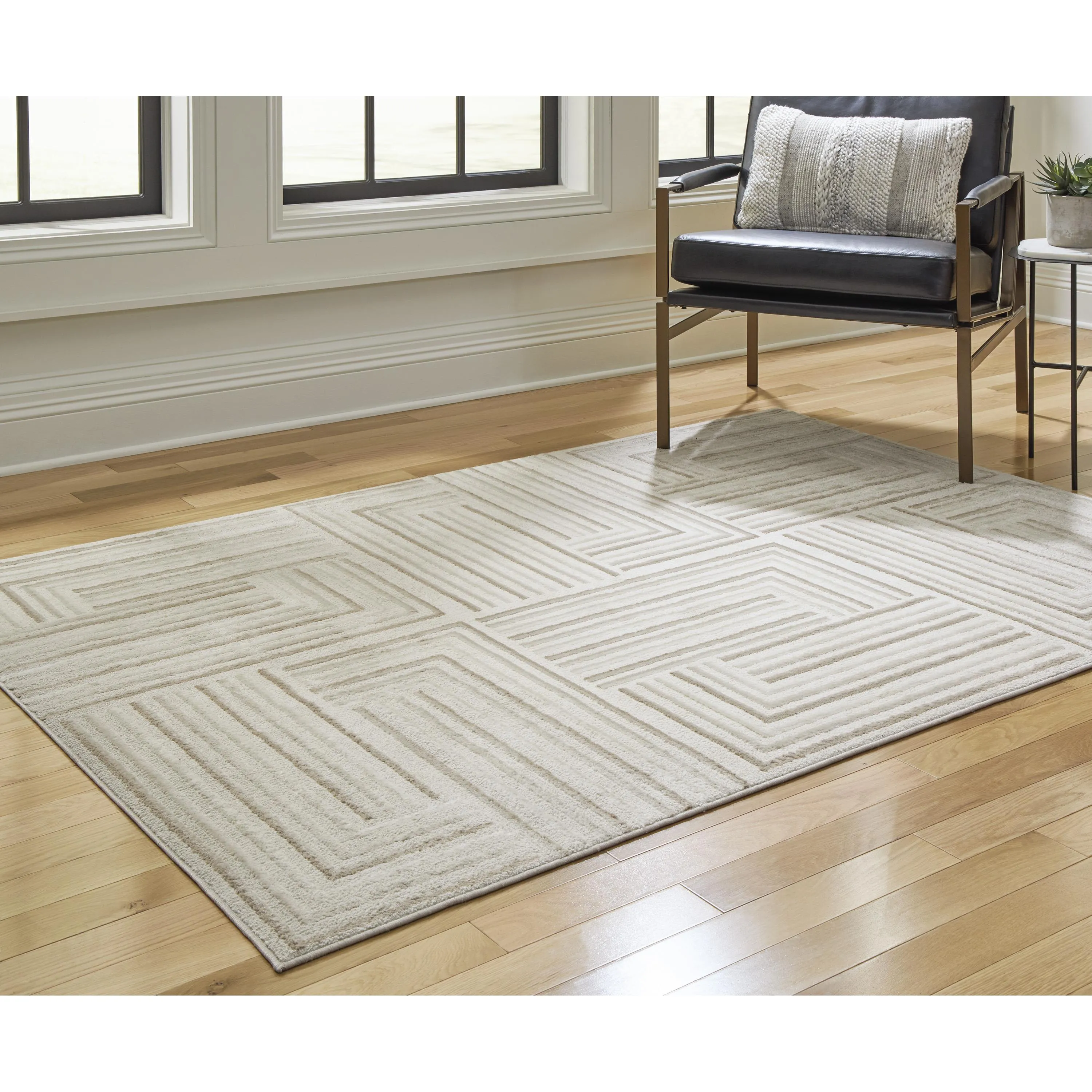 Signature Design by Ashley Darmondard R406942 Medium Rug