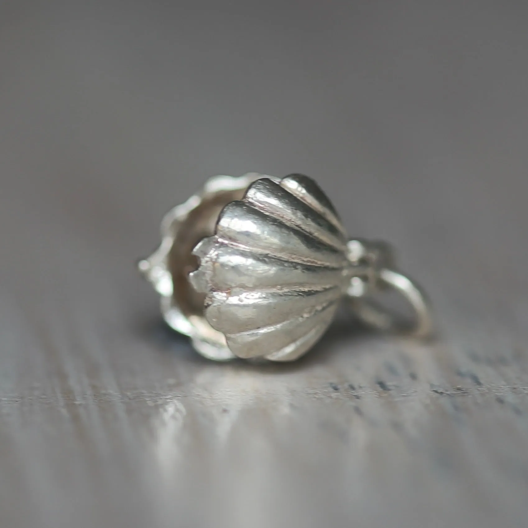 Silver Shell Charms