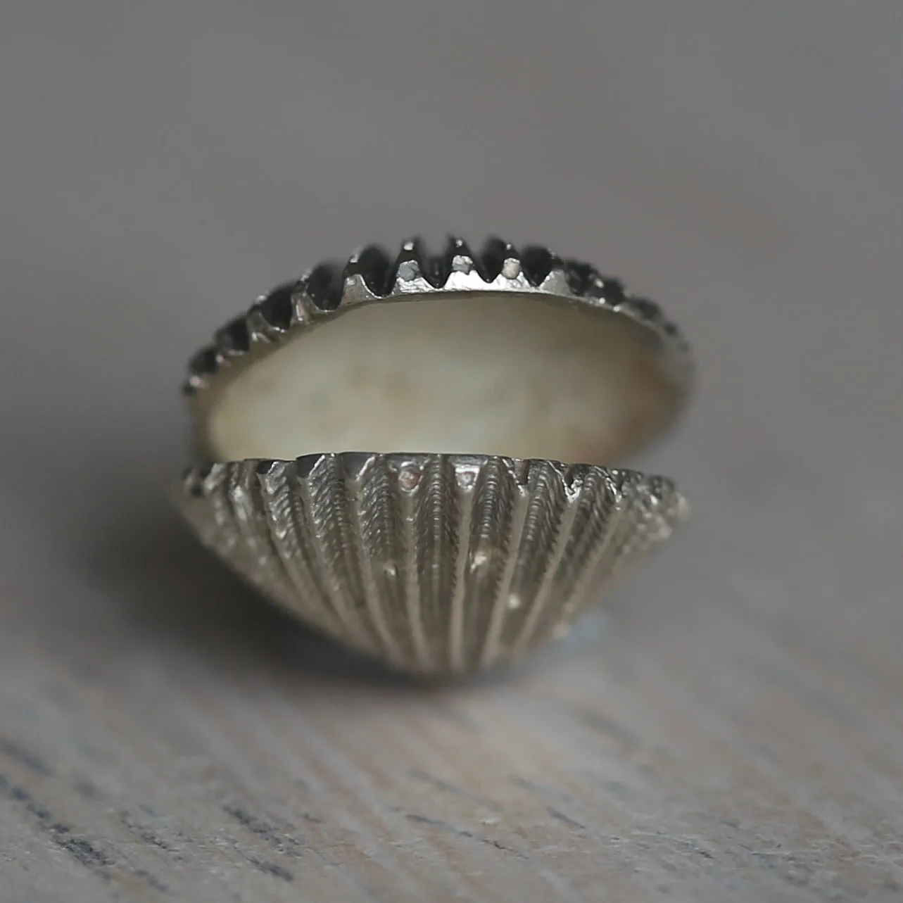 Silver Shell Charms