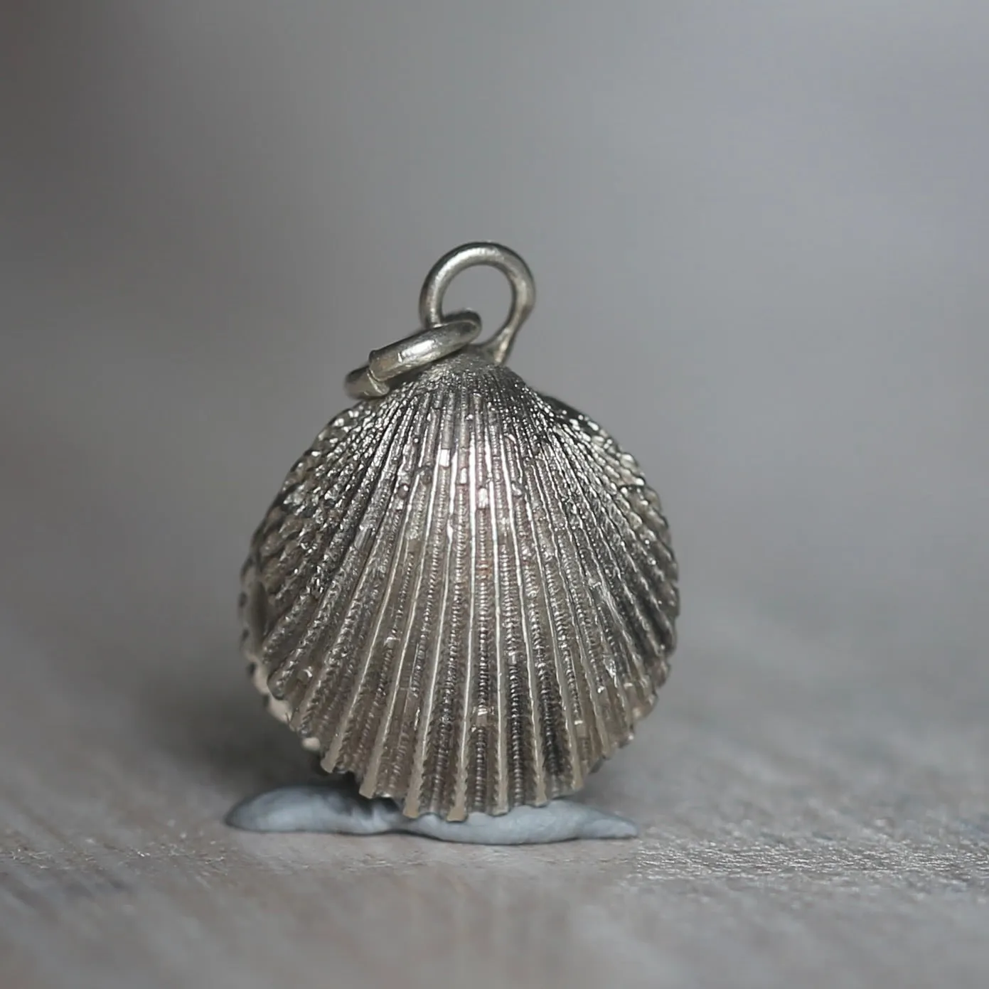 Silver Shell Charms