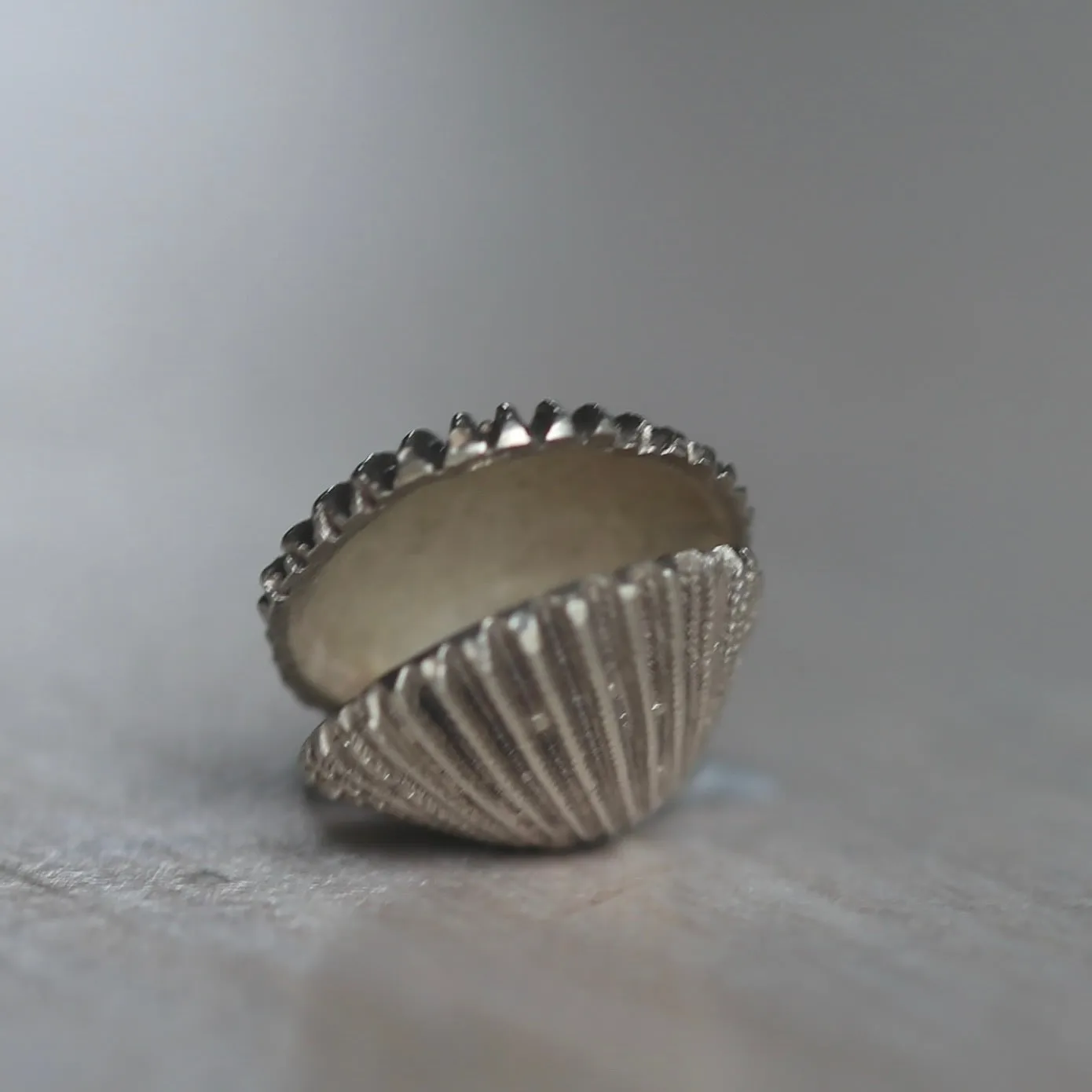 Silver Shell Charms